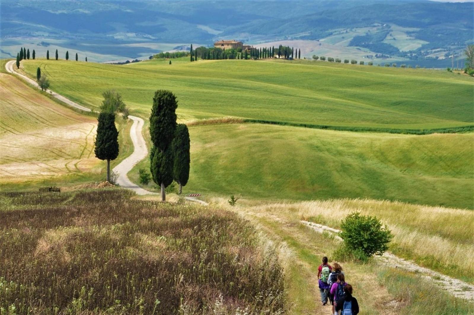 Agriturismo Le Sorbelle D'Orcia Con Piscina Pienza Kültér fotó