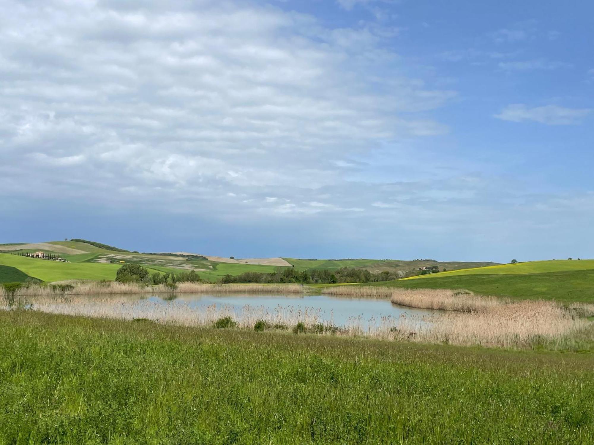 Agriturismo Le Sorbelle D'Orcia Con Piscina Pienza Kültér fotó